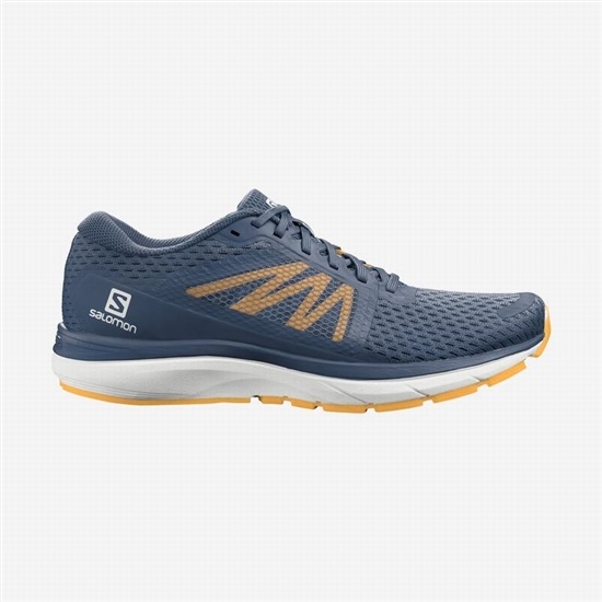 Salomon VECTUR Bezecke Topanky Panske Navy/White | 3125-XKZFW